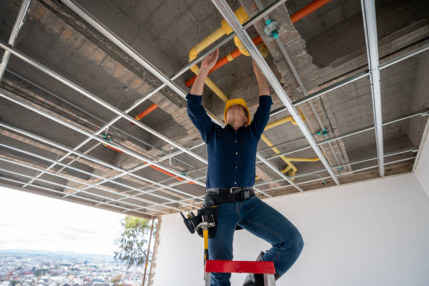 Best Local Plumber Services  in Apalachin, NY